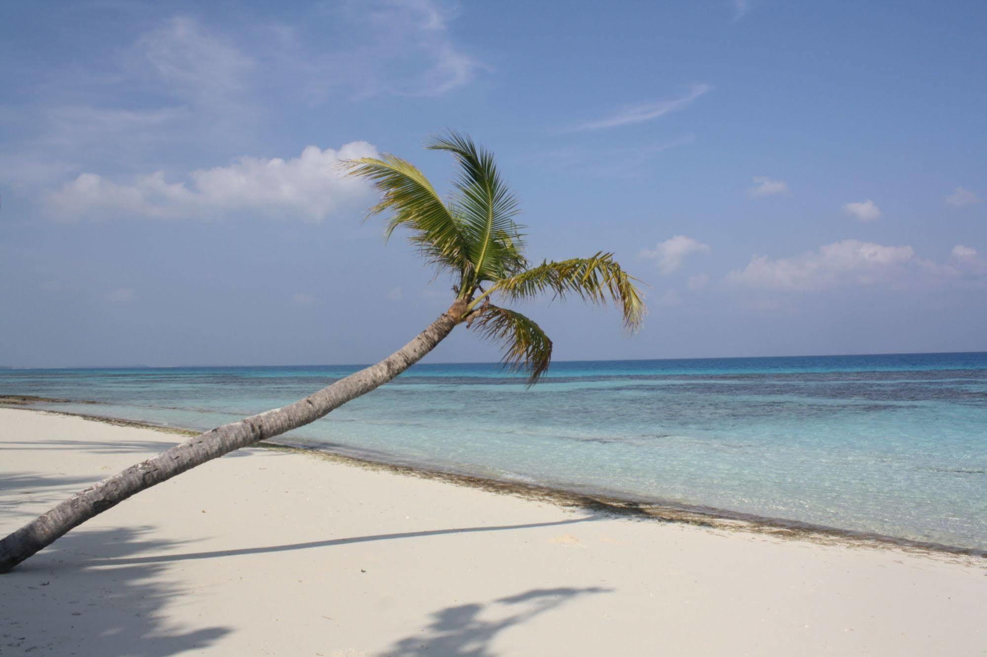 Boutique Beach All Inclusive Diving Hotel Dhigurah  Exterior photo