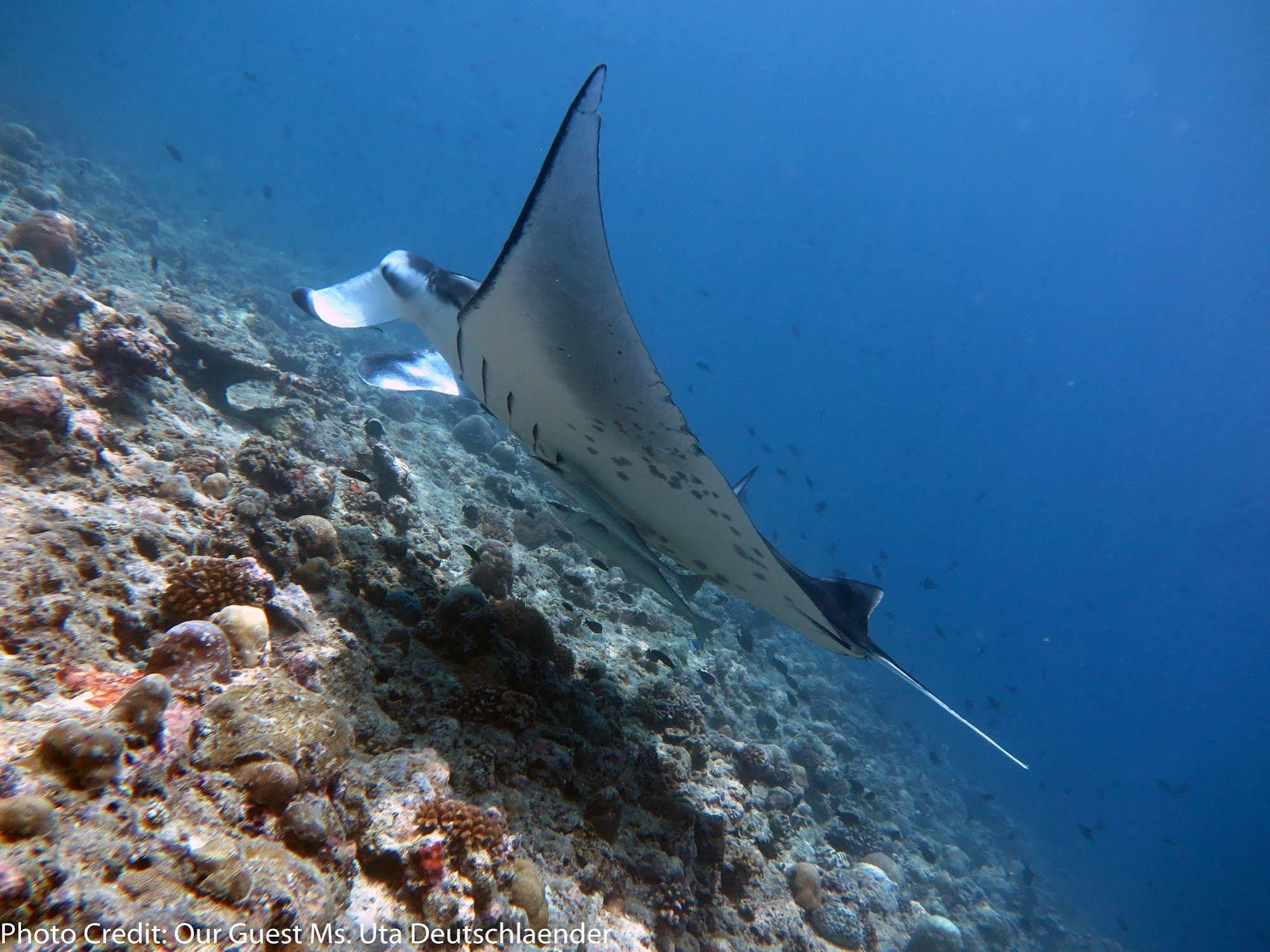 Boutique Beach All Inclusive Diving Hotel Dhigurah  Exterior photo